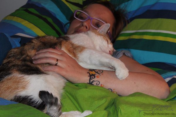 Heimdialyse mit meiner Katze